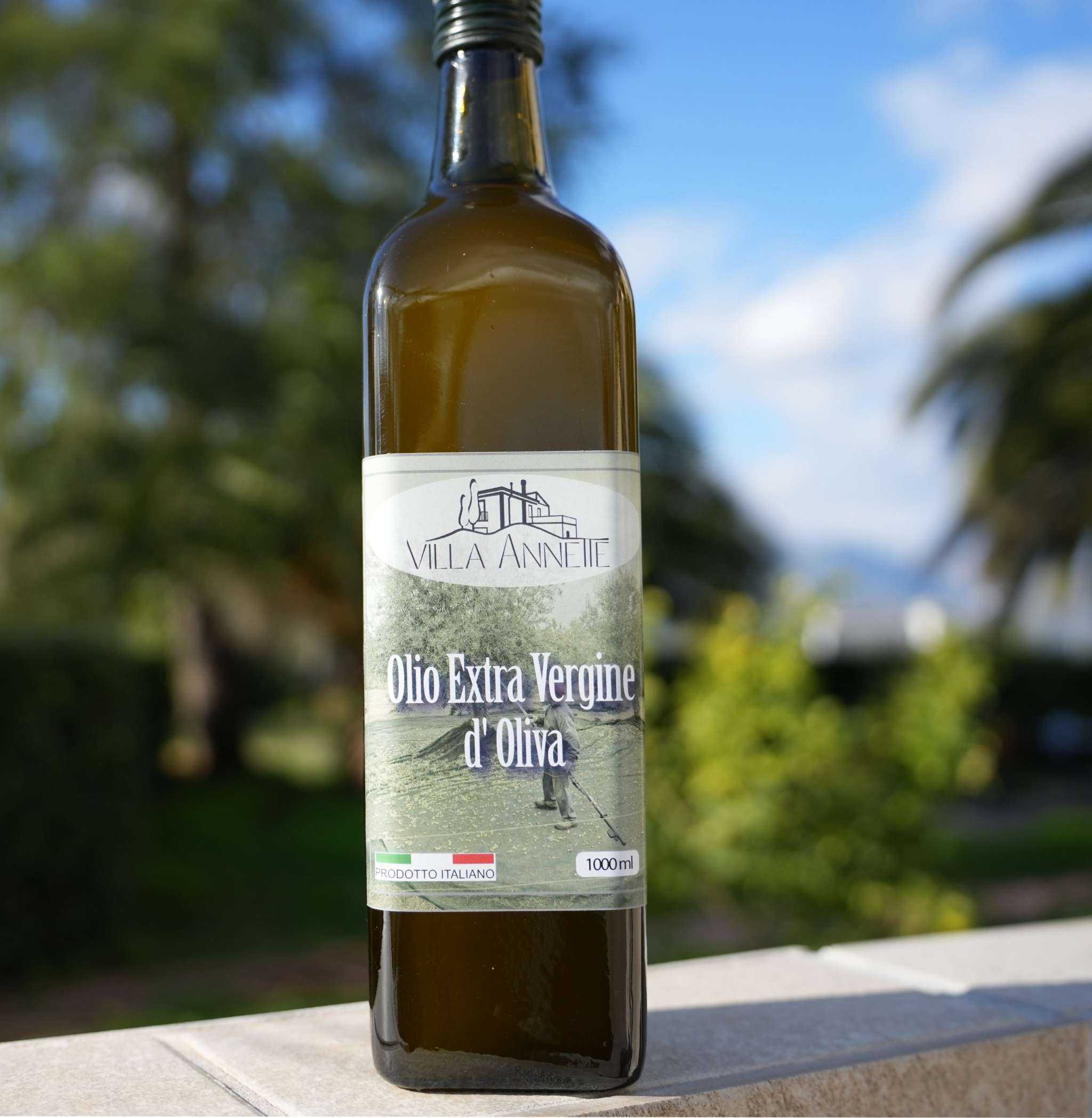 Flasche Premium Olivenöl Nativ Extra aus Kalabrien Villa Annette mit frischen Oliven und mediterranem Hintergrund