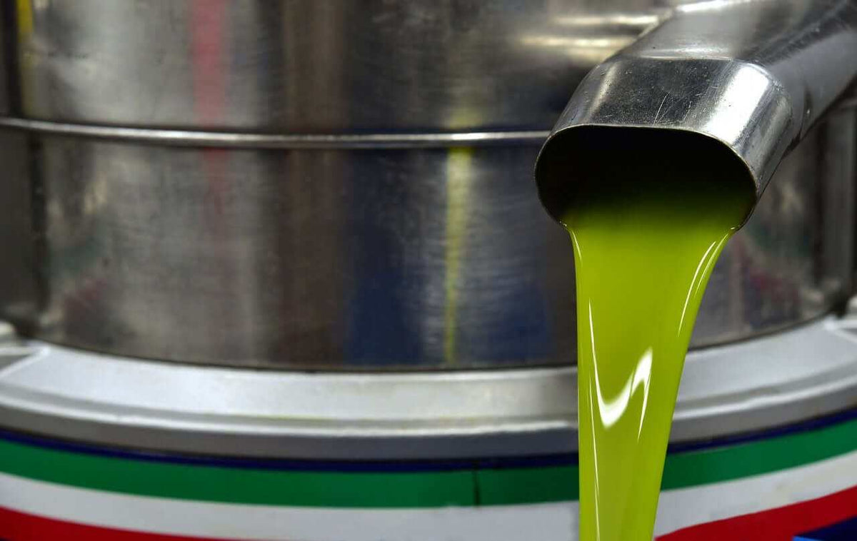 Tipps und Tricks zur Lagerung von Olivenöl Extra Vergine in 5 Litern für maximale Frische und Qualität - Extra Vergine - Olivenöl aus Kalabrien
