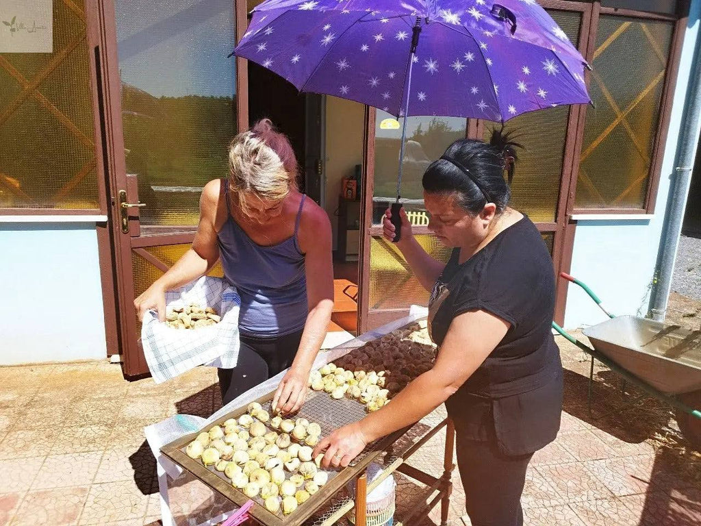 Sun-drying figs in Calabria for "Feigen getrocknet ca. 300 g", a traditional Italian delicacy known for its rich flavor and texture.