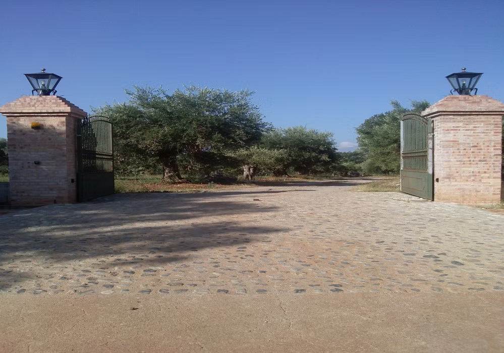 Entrance to an olive grove with stone pathway and open gates under clear sky.